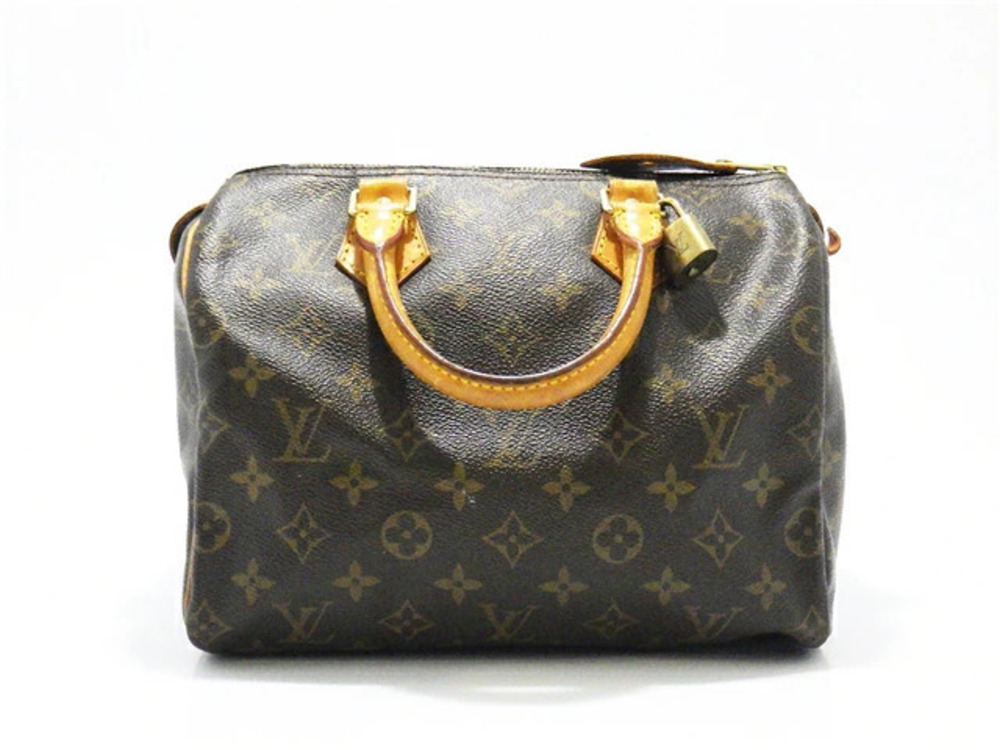 LOUIS VUITTON Speedy Handbag Monogram